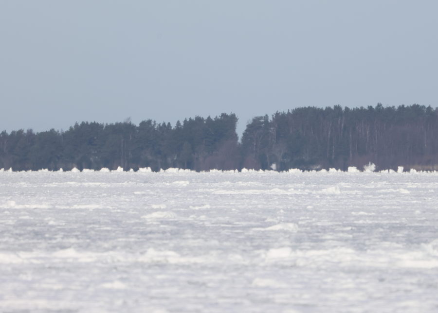 Kolo Säpin profiilissa
