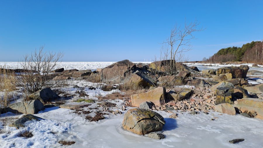 Enne puiden poistoa, Kloppa