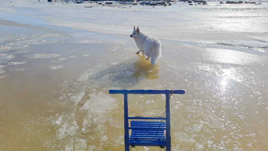 Vettä jäällä: Pinkki ja
          potkukelkka