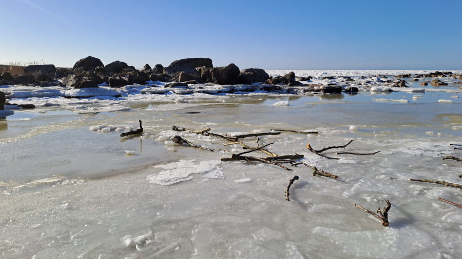 Poistetut puunpalaset jäällä