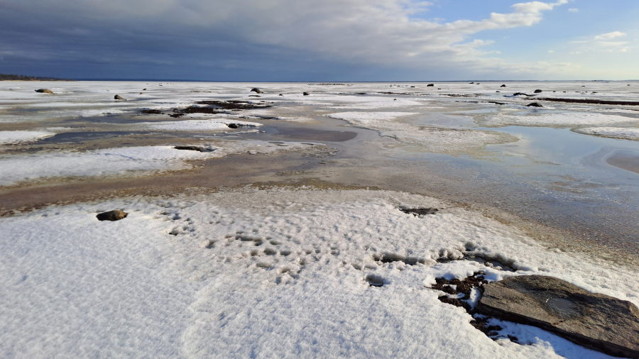Viasvedenlahden jäät
