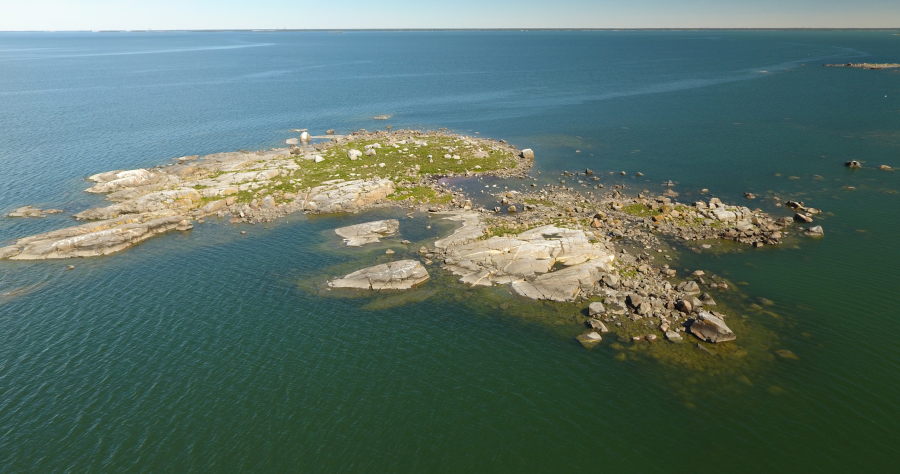 Marjakari