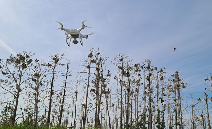 Tornikari ja drone