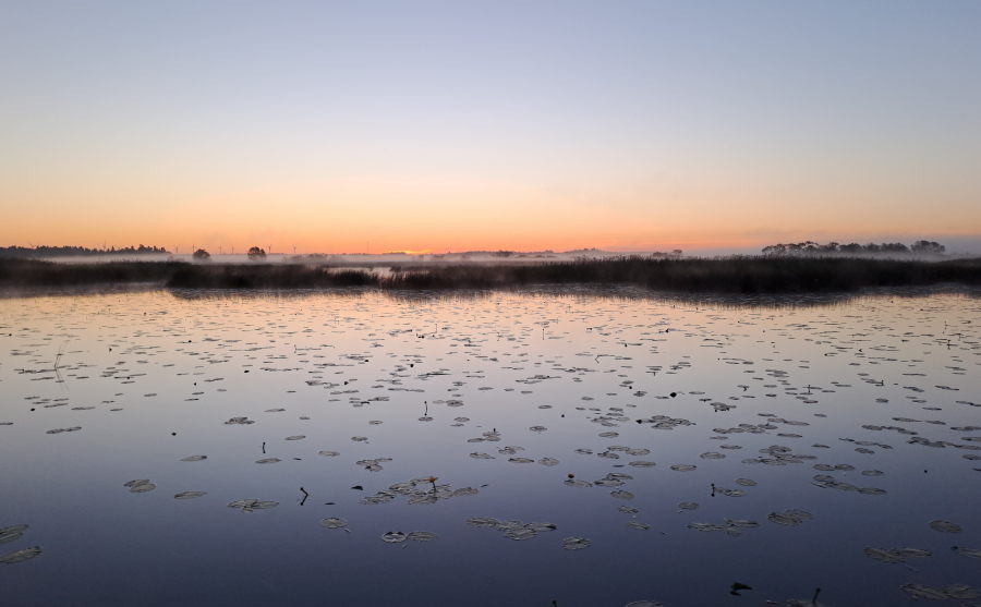 Aurinko nousemassa